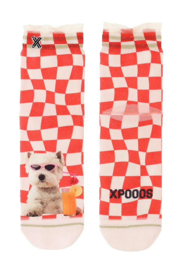 Xpooos Cocktail Hour Socks