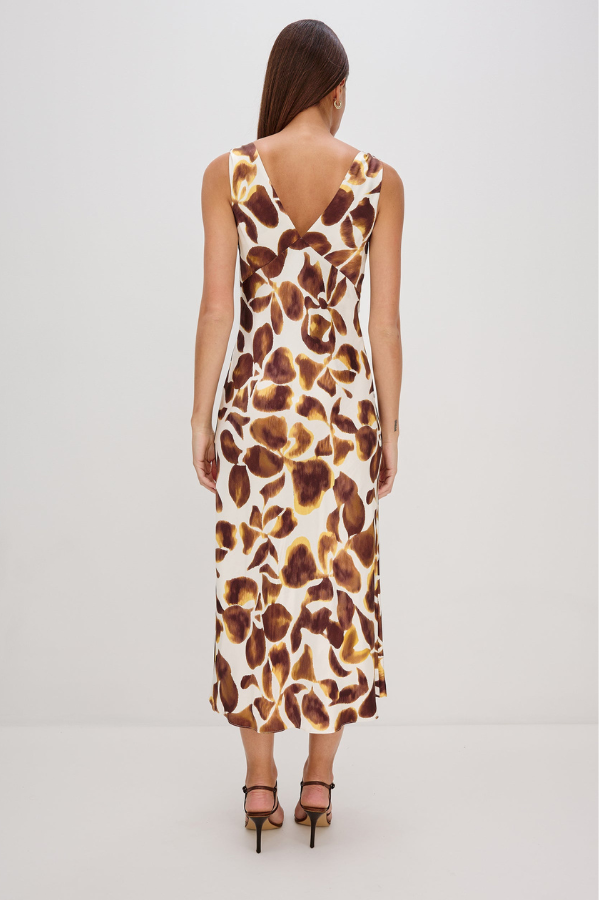 Rails Viviana Print Dress