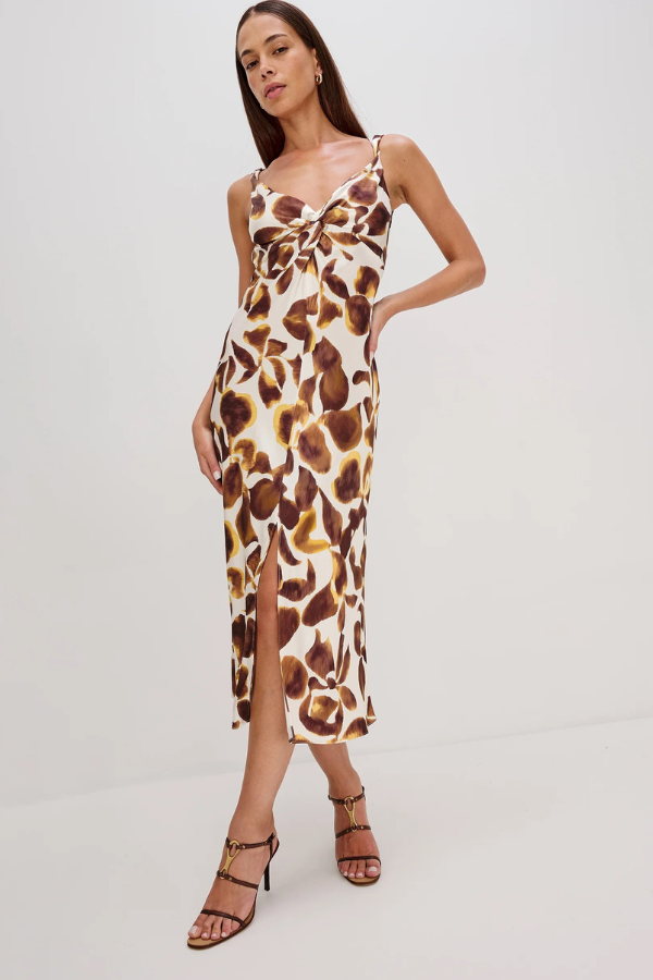 Rails Viviana Print Dress