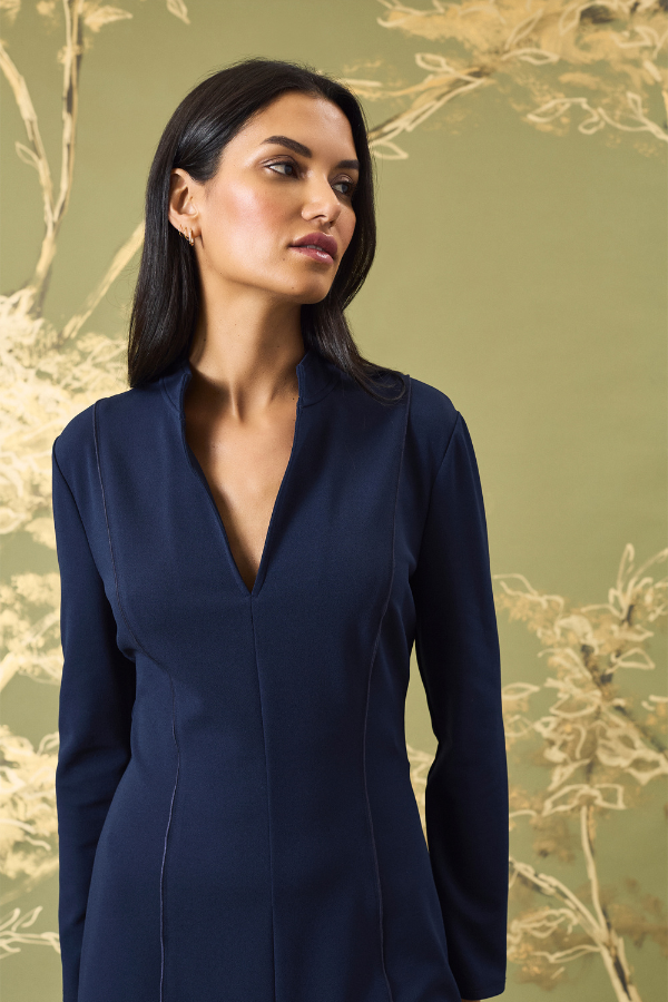 Maggy London V-Neck Flare Dress